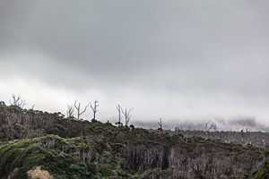 Tasmania Photography TAS244_p