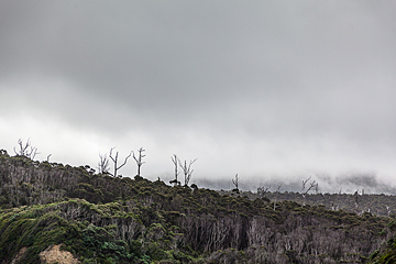 Travel Photographer | Tasmania