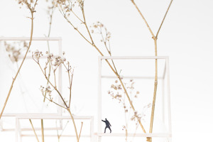 SCoghill_KatoxVictoria_KXV100_p