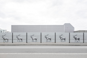 Lifestyle photography