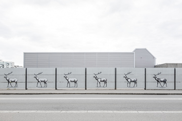 Lifestyle photography, Copenhagen Denmark, wallpaper city guide