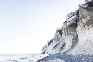 SCoghill_MonsKlint_pMKL118