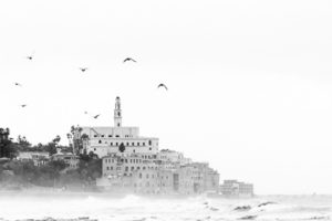 Sarah_Coghill_Tel_Aviv_p_TAV134